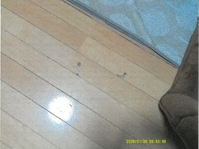 大阪府門真市 野崎駅18分 戸建て 957万円の競売物件情報 #10