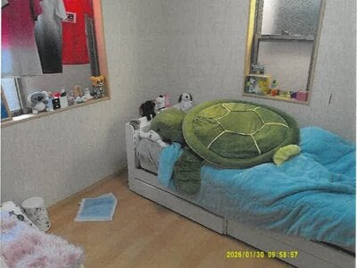 大阪府門真市 野崎駅18分 戸建て 957万円の競売物件情報 #9