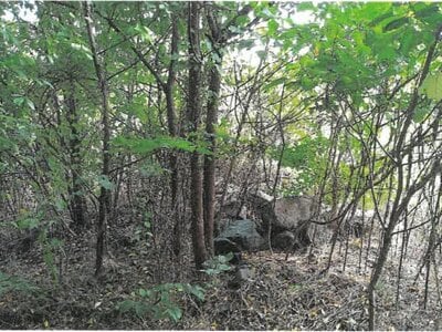 (値下げ) 大阪府東大阪市 瓢箪山駅15分 戸建て 1,624万円の競売物件情報 #13