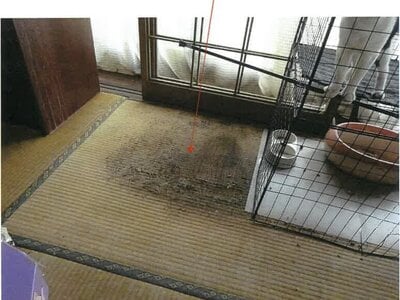 (値下げ) 鹿児島県鹿屋市 戸建て 222万円の競売物件情報 #10