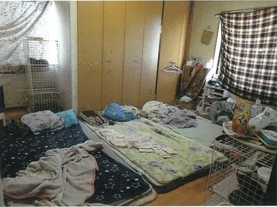 (値下げ) 鹿児島県鹿屋市 戸建て 222万円の競売物件情報 #17