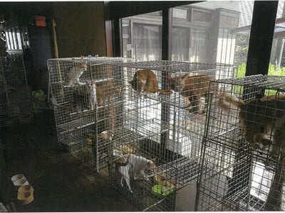 (値下げ) 鹿児島県鹿屋市 戸建て 222万円の競売物件情報 #6