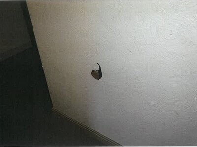 (値下げ) 鹿児島県志布志市 志布志駅 戸建て 261万円の競売物件情報 #22