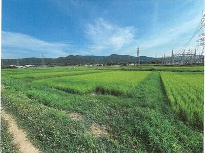 石川県鹿島郡中能登町 良川駅19分 農地 87万円の競売物件情報 #10