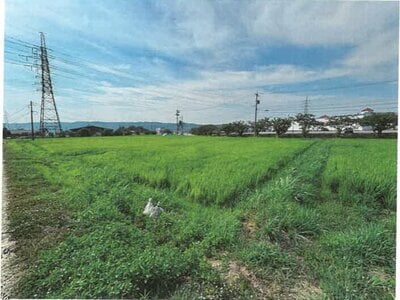 石川県鹿島郡中能登町 良川駅19分 農地 87万円の競売物件情報 #11