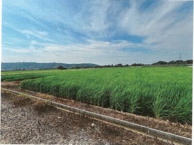 石川県鹿島郡中能登町 良川駅19分 農地 87万円の競売物件情報 #15