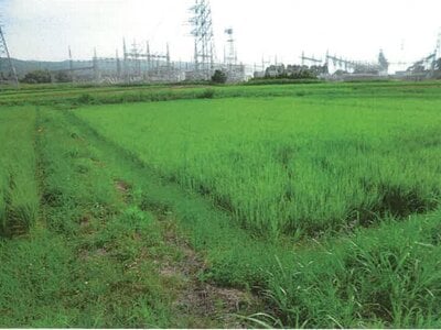 石川県鹿島郡中能登町 良川駅19分 農地 87万円の競売物件情報 #2