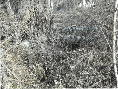 長野県埴科郡坂城町 坂城駅4分 土地 128万円の競売物件情報 #14