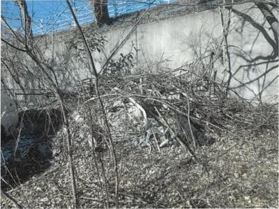 長野県埴科郡坂城町 坂城駅4分 土地 128万円の競売物件情報 #15