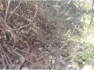 (値下げ) 長野県上田市 上田駅 農地 167万円の競売物件情報 #11