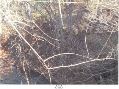(値下げ) 長野県上田市 上田駅 農地 167万円の競売物件情報 #12