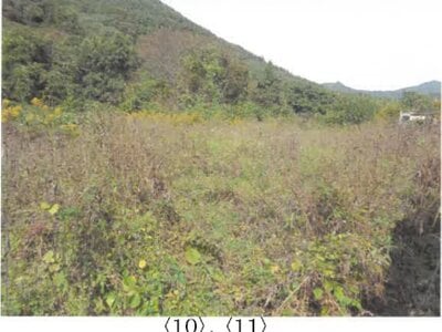 (値下げ) 長野県上田市 上田駅 農地 167万円の競売物件情報 #15