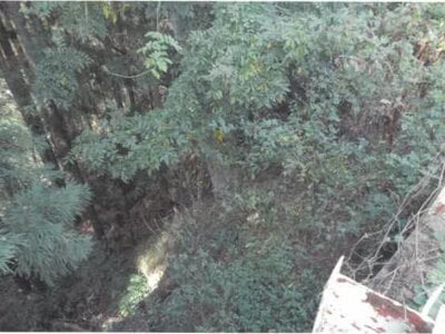 (値下げ) 長野県上田市 上田駅 農地 167万円の競売物件情報 #17