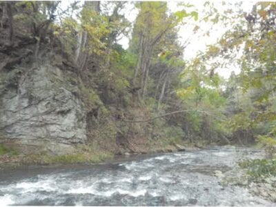 (値下げ) 長野県上田市 上田駅 農地 167万円の競売物件情報 #18
