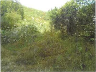 (値下げ) 長野県上田市 上田駅 農地 167万円の競売物件情報 #3