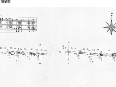 京都府京都市右京区 太秦広隆寺駅14分 土地 405万円の国税庁公売物件情報 #4