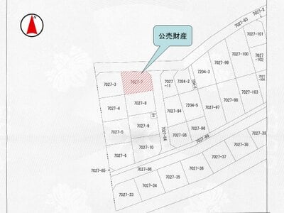 埼玉県さいたま市岩槻区 東岩槻駅14分 戸建て 1,098万円の国税庁公売物件情報 #3