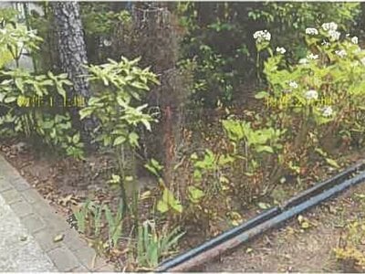 (値下げ) 秋田県潟上市 大久保駅24分 戸建て 198万円の競売物件情報 #6