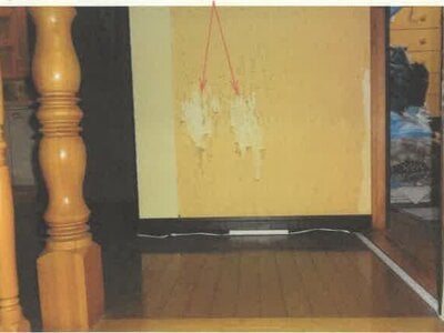 秋田県能代市 二ツ井駅18分 戸建て 289万円の競売物件情報 #17