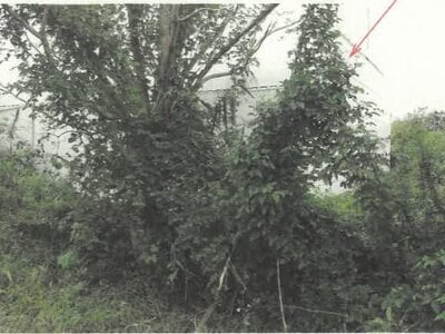 (値下げ) 秋田県能代市 能代駅 戸建て 1,257万円の競売物件情報 #4