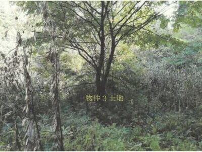 (値下げ) 秋田県能代市 二ツ井駅30分 戸建て 321万円の競売物件情報 #11