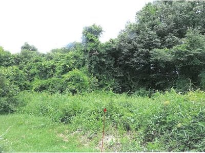 岐阜県土岐市 土岐市駅 戸建て 373万円の競売物件情報 #10