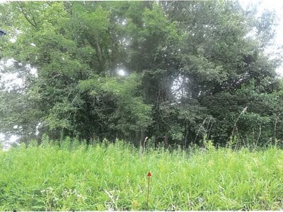 岐阜県土岐市 土岐市駅 戸建て 373万円の競売物件情報 #8