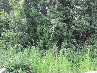 岐阜県土岐市 土岐市駅 戸建て 373万円の競売物件情報 #9