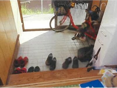 島根県益田市 石見津田駅14分 戸建て 101万円の競売物件情報 #6