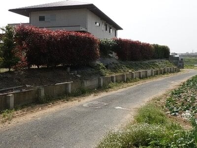 (値下げ) 愛知県豊橋市 大清水駅 戸建て 1,288万円の国税庁公売物件情報 #3