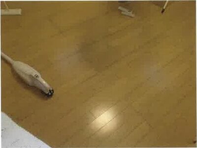 静岡県藤枝市 六合駅 戸建て 616万円の競売物件情報 #7