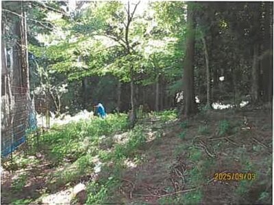 (値下げ) 静岡県伊東市 伊豆大川駅 土地 292万円の競売物件情報 #10