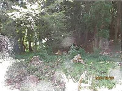 (値下げ) 静岡県伊東市 伊豆大川駅 土地 292万円の競売物件情報 #11