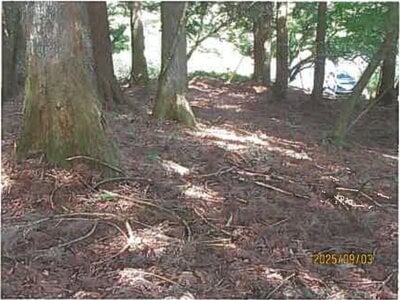 (値下げ) 静岡県伊東市 伊豆大川駅 土地 292万円の競売物件情報 #12