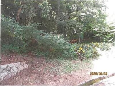 (値下げ) 静岡県伊東市 伊豆大川駅 土地 292万円の競売物件情報 #3