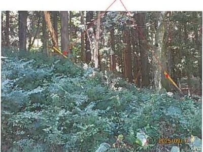 (値下げ) 静岡県伊東市 伊豆大川駅 土地 292万円の競売物件情報 #4