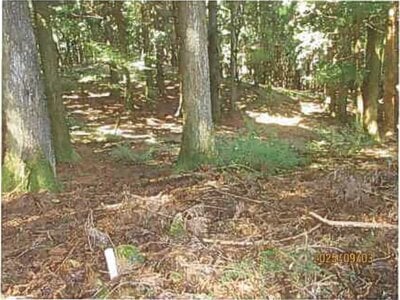 (値下げ) 静岡県伊東市 伊豆大川駅 土地 292万円の競売物件情報 #6