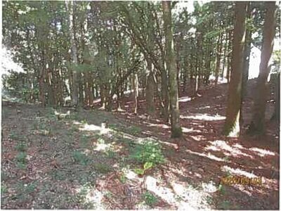 (値下げ) 静岡県伊東市 伊豆大川駅 土地 292万円の競売物件情報 #7