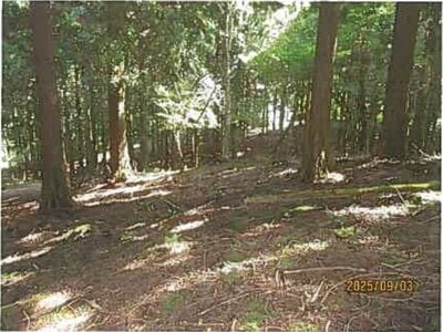 (値下げ) 静岡県伊東市 伊豆大川駅 土地 292万円の競売物件情報 #8