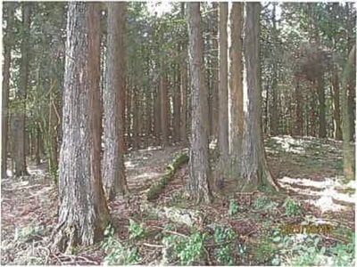 (値下げ) 静岡県伊東市 伊豆大川駅 土地 292万円の競売物件情報 #9