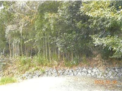 (値下げ) 静岡県伊東市 伊豆高原駅13分 土地 11万円の競売物件情報 #3