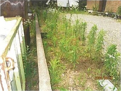 (値下げ) 静岡県伊東市 南伊東駅 戸建て 355万円の競売物件情報 #9