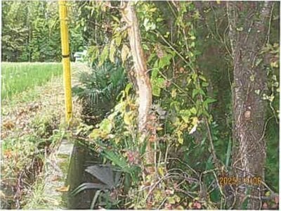 静岡県御殿場市 御殿場駅 戸建て 636万円の競売物件情報 #8