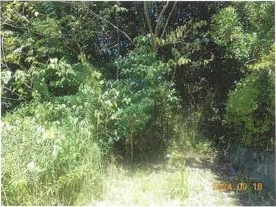 (値下げ) 静岡県掛川市 掛川駅24分 土地 369万円の競売物件情報 #5