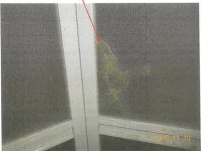 静岡県浜松市中央区 浜松駅 戸建て 385万円の競売物件情報 #13