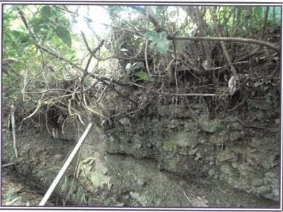 (値下げ) 静岡県富士宮市 源道寺駅12分 戸建て 670万円の競売物件情報 #11