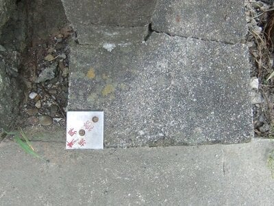 徳島県吉野川市 山瀬駅3分 土地 237万円の官公庁公売物件情報 #6