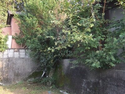 徳島県吉野川市 阿波川島駅5分 土地 164万円の官公庁公売物件情報 #6