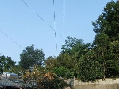 徳島県吉野川市 阿波川島駅5分 土地 164万円の官公庁公売物件情報 #7