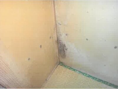 北海道旭川市 近文駅 戸建て 454万円の競売物件情報 #22